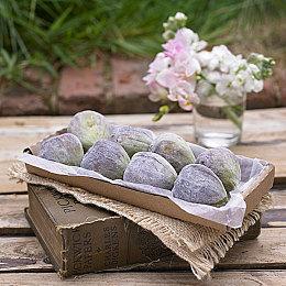 千呼万唤 《艾尔登法环：黑夜君临》双人模式正式上线